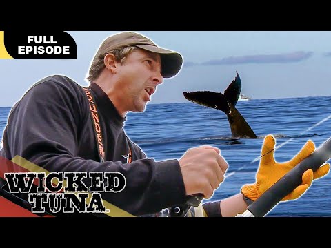 The Tuna Titans Clash (Full Episode) | S2E14 | Wicked Tuna