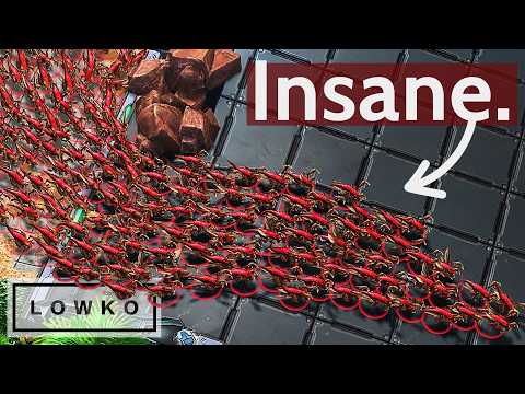 This is the craziest StarCraft 2 comeback I've ever seen!