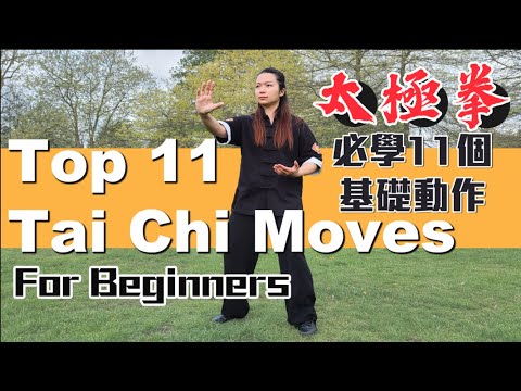 Tai Chi Movements For Beginners| 11個太極拳必學動作
