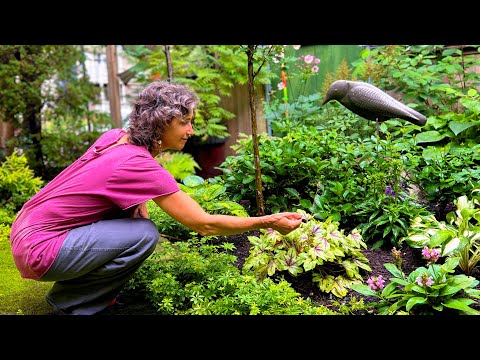 The secret held in her fairytale garden