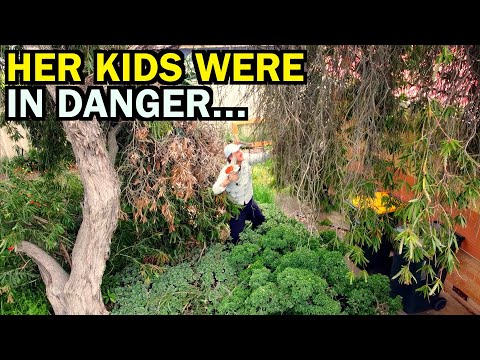 They Couldn't Play Outside Anymore - I Gave This Family a HUGE Surprise!