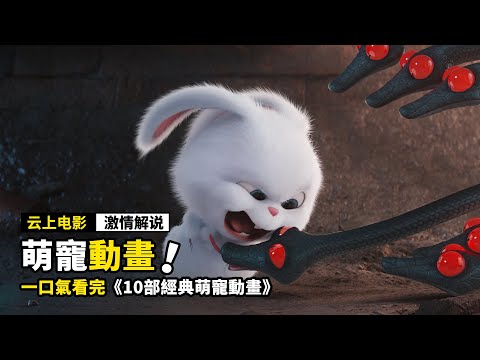 一口氣看完《九部經典萌寵動畫電影》，不僅有最凶殘的兔子，還有迪士尼最帥的狐狸！