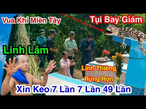 Sàn Lắc Rung Chuyển Rùng Rợn Xin Keo 7×7=49 Vua Khỉ Miền Tây Cưa 3 Cây Sao Dưới Phần Mộ Linh Thiêng