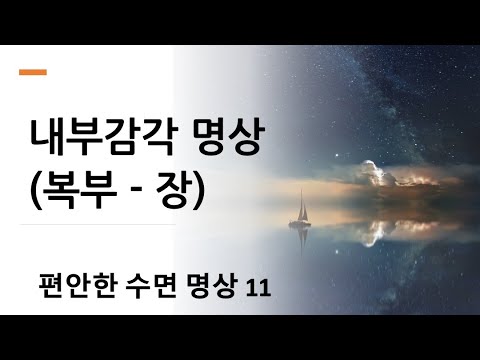 Sleep Meditation 11 - Interoception Meditation (Abdomen - Intestines)