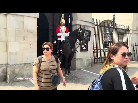 Royal Duties || A King's Guard's Most Bizarre Encounters