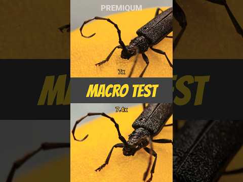 X300 Pro vs X200 Pro: Macro Detail Comparison! 🍋🪲