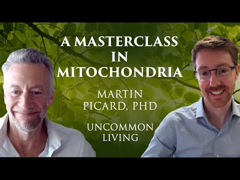 A Masterclass in Mitochondria | Martin Picard, PhD | Uncommon Living 17