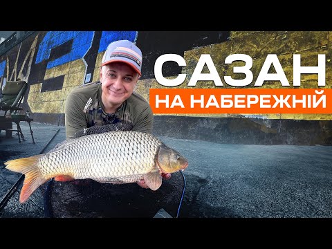 ДИКІ САЗАНИ НА ДНІПРІ. Фідер на київській набережній.