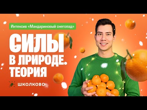 Силы в природе. Теория | 7 класс | Интенсив по школьной физике