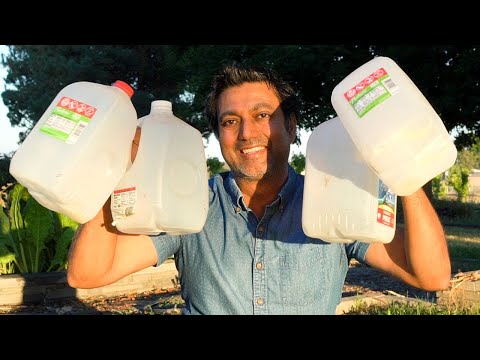 Never Throw Away Milk Jugs! DO THIS INSTEAD!