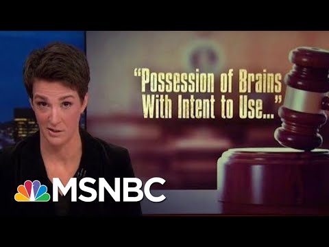 Investigators Checking If President Trump Lying Includes Financial Docs | Rachel Maddow | MSNBC