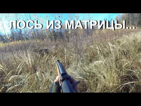 💥Охота НА ЛОСЯ 💥 Матрица существует?