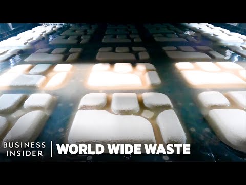 How To Replace Plastic With Avocados, Algae, Mushrooms And Sugarcane | World Wide Waste Marathon