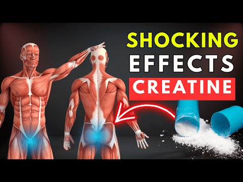 10 Changes That Happen in Your Body When You Take 5g of Creatine Every Day