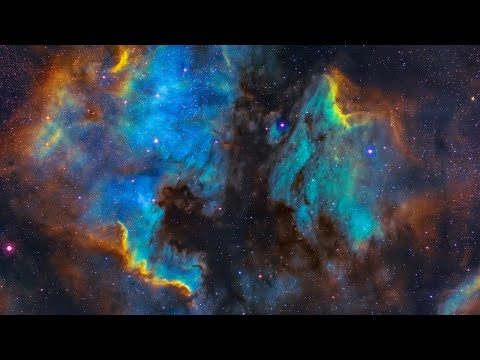 Richard Tarnas on the Planets in 2022 I CIIS Public Programs