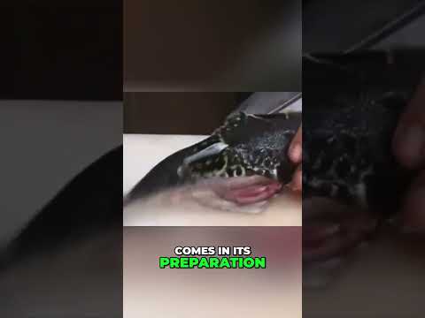 Chef or Grim Reaper? #anthonybourdain #japan