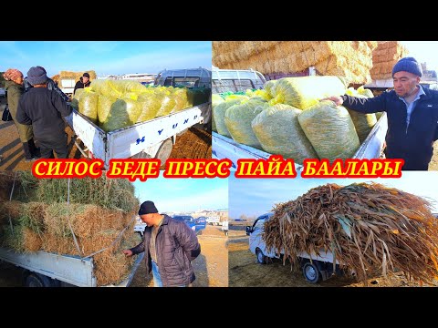 Силос, Беде, Пайа, Саман пресстерин баалары. #кадамжаймедиа #силос #базар