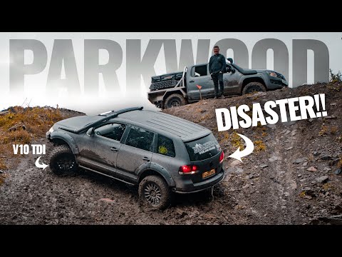 We take a bunch of VWs and Porsches OFF-ROAD!! 😈 Darkside Parkwood Takeover