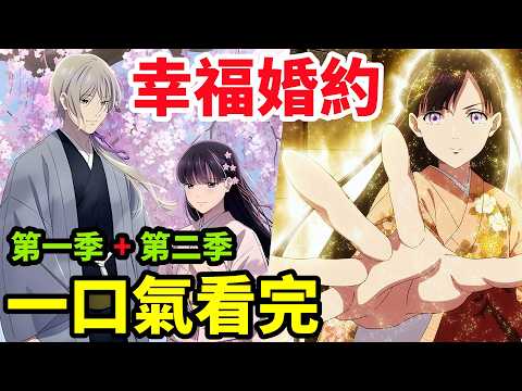 一口氣看完【我的幸福婚約】第一季+第二季，1~24全集完整版，動漫解說，四月新番，我的幸福婚姻