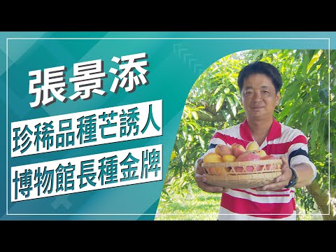 草地狀元--怪奇雞蛋芒果比名片薄！象牙芒果有巨牙！貴妃芒果沒黑斑色紅潤！甜蜜蜜芒果甜度破表！芒果大觀你有看過嗎！？(2020.07.27播出)