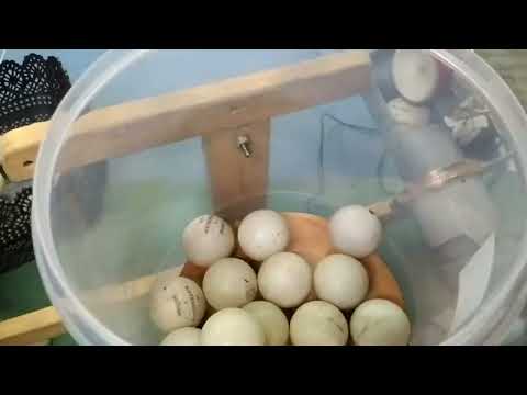 Table Tennis Robot - explained.