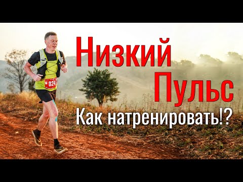 How to Train a Low Heart Rate in Running?