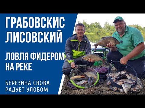 Ловля фидером на реке с Нормундом Грабовскисом