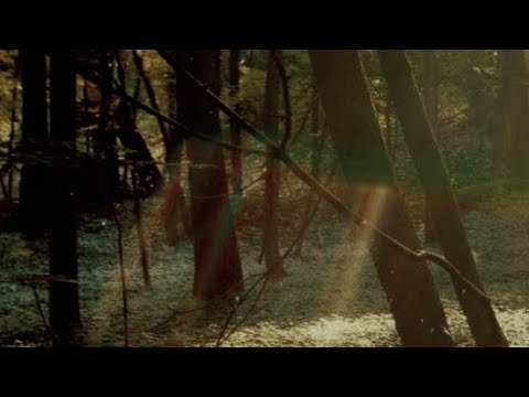 𝖧𝖾𝖺𝗋𝗍𝖻𝖾𝖺𝗍 - 𝖢𝗁𝗂𝗅𝖽𝗂𝗌𝗁 𝖦𝖺𝗆𝖻𝗂𝗇𝗈 (𝑠𝑝𝑒𝑒𝑑 𝑢𝑝)