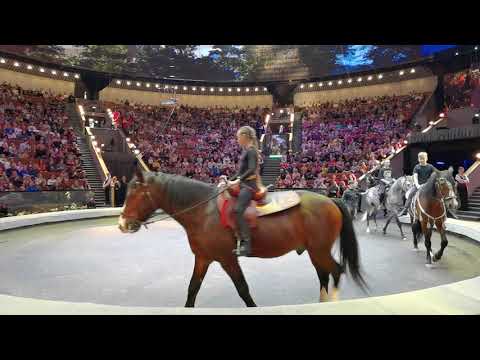 Открытая Репетиция в Большом Московском Цирке 28.03.24