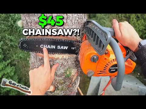 The CHEAPEST Chainsaw I have EVER Purchased! Jiggly Dog Chainsaw Review!