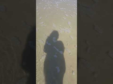 shadow on the beach