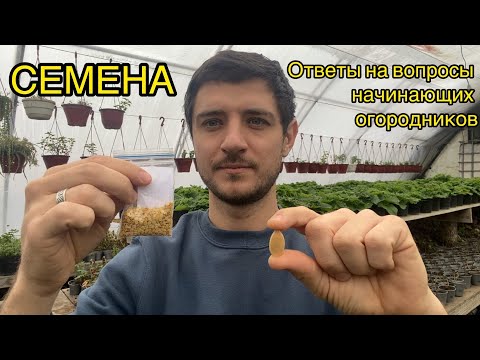 SEEDS. The most frequently asked questions about seeds. Preparation, germination, storage, strati...