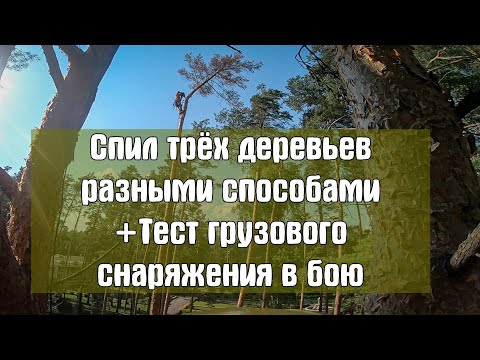 Удаление арбористами трёх деревьев разными способами. Тест снаряжения от Arbostuff и СВТ