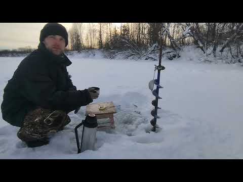 Немного рыбалки