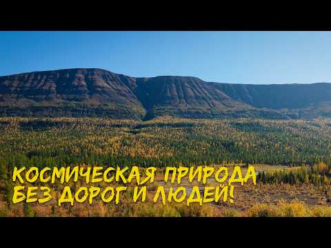 СЕВЕР РОССИИ. МЕСТА НЕДОСТУПНЫЕ ДЛЯ 99.9% ЛЮДЕЙ. РЫБАЛКА В ЗАПОВЕДНЫХ МЕСТАХ. ТАЙГА. ПЛАТО ПУТОРАНА.