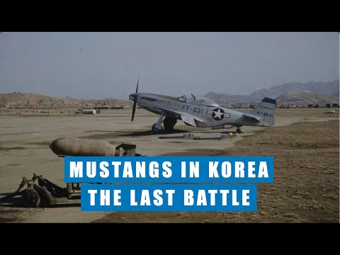 THE LAST BATTLE: F-51D Mustangs In Korea