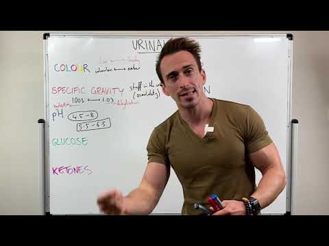 Urinalysis Explained