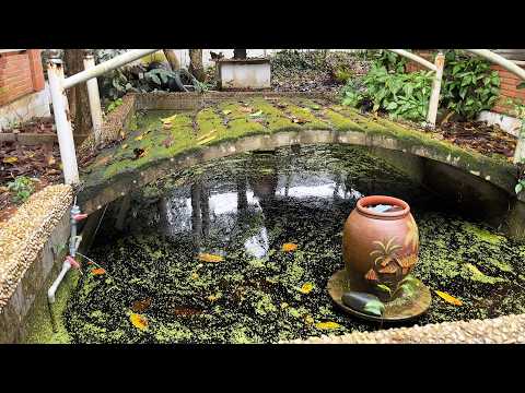 Clean the Water Source for the Aquarium Full of Trash and Dirty