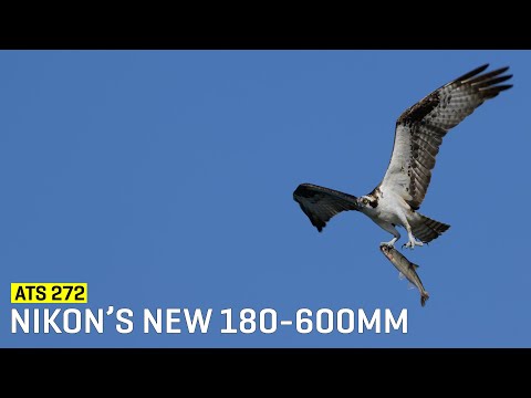 Approaching The Scene 272: Nikon’s New 180-600mm