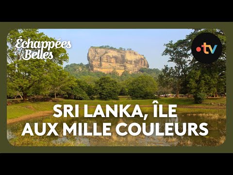Sri Lanka, l'île aux mille couleurs - Échappées belles
