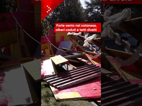 Maltempo nel catanese, alberi caduti e strutture divelte per il forte vento