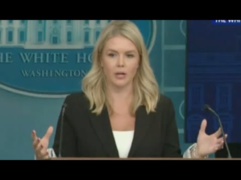 🚨 Karoline Leavitt PANICS after she’s CAUGHT LYING about Epstein