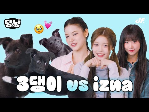 [ENG] 아기 강아지들과 애교대결하는 izna?! | [멍&냥] izna(이즈나) 마이, 최정은, 정세비