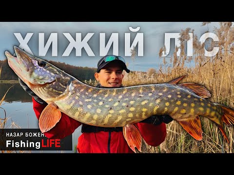 The Tackle Just Couldn't Hold Up - Trophy Pike Fishing In November