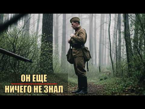 Дело трёх связных: Тропа смерти под Смоленском (1943)