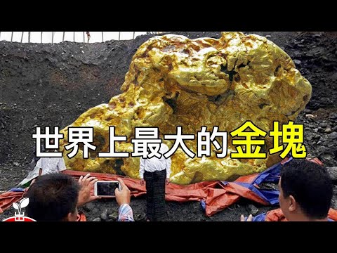 有史以來最大金塊被發現 | 世界上最值錢的最昂貴的12個金塊【出類拔萃】