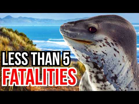 3 Predators That Have Only Claimed 5 Human Lives Or Less