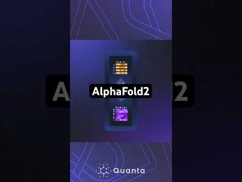 How DeepMind's AlphaFold2 Predicts Protein Shapes  #science