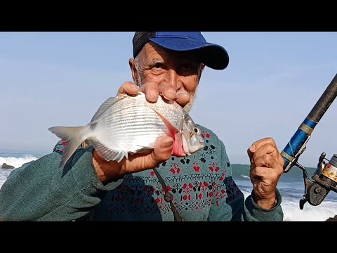 من مبتدئ إلى محترف: أسرار البحث عن الشرغوا من الصفر