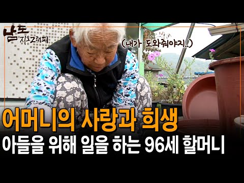 96세의 나이에도 아들을 위해 일을 하는 할머니. 어머니의 사랑과 헌신은 다 커서도 지속된다 [남도지오그래피] | KBS 141030